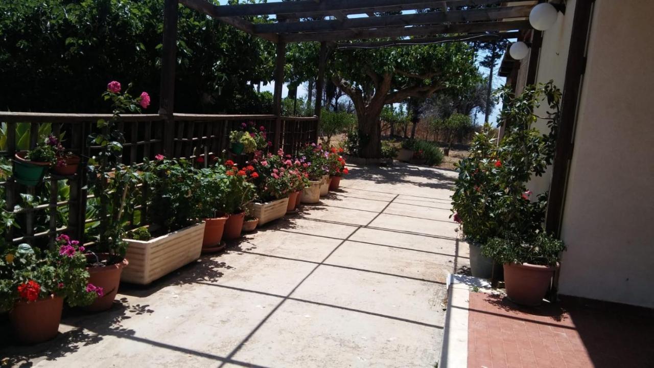 مبيت وإفطار سكولييتي Il Gazebo المظهر الخارجي الصورة