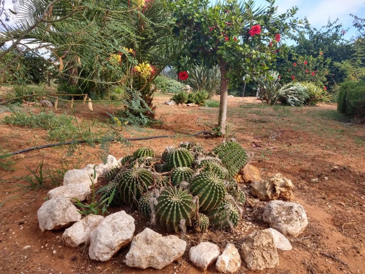 مبيت وإفطار سكولييتي Il Gazebo المظهر الخارجي الصورة